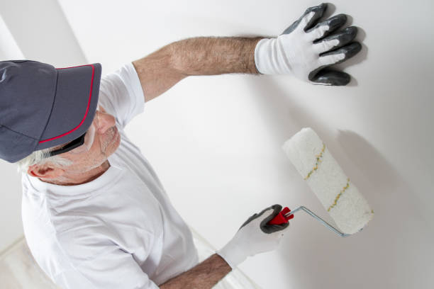 Best Mold Odor Removal Services  in Stevenson Ranch, CA