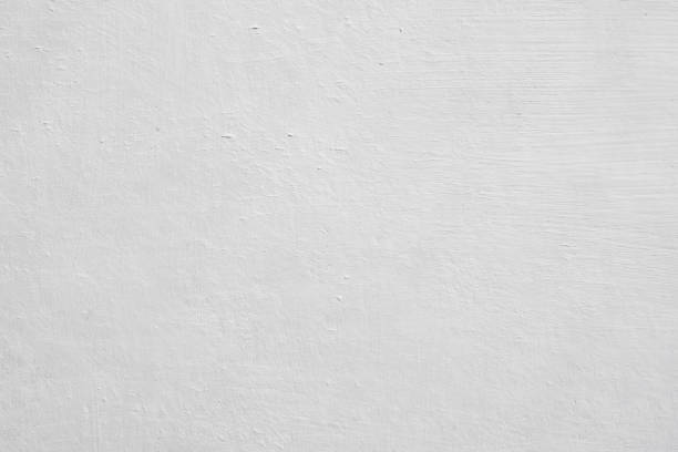 Professional Mold Removal in Stevenson Ranch, CA